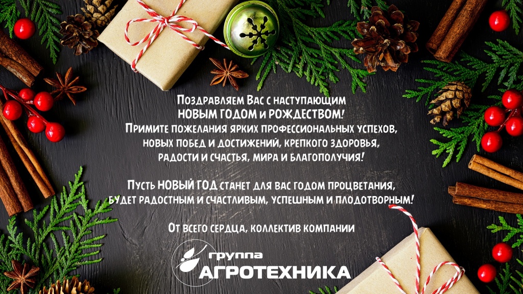 Новый год ГРУППА АГРОТЕХНИКА.jpg